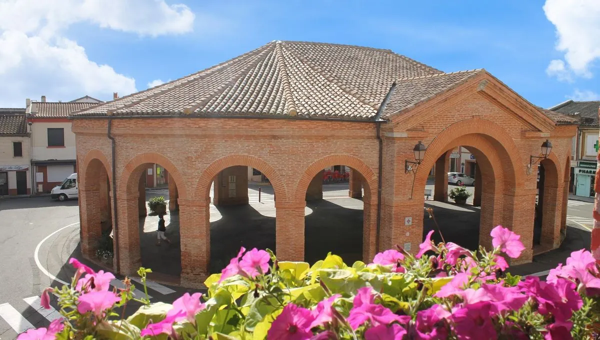 Électricien à Saint-Lys – travaux électriques, climatisation, chauffage et domotique